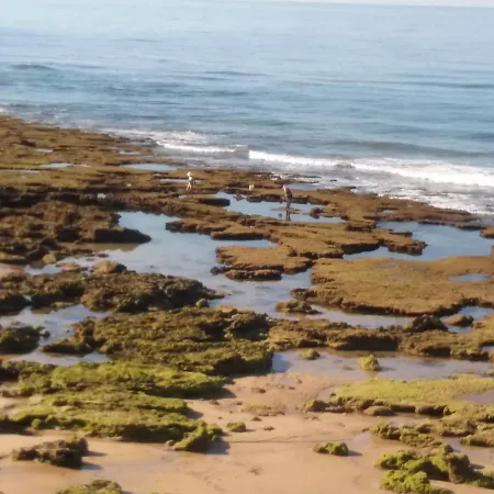 Encosta S. Jose -vale Parra 아파트 알부페이라