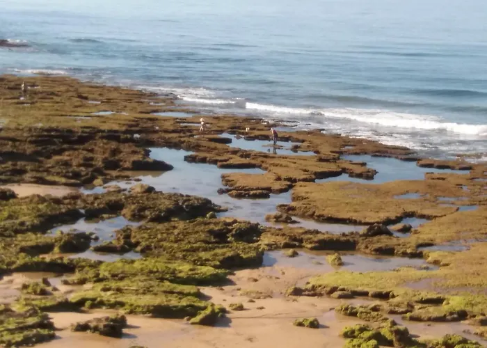 Encosta S. Jose -vale Parra شقة البوفيرا